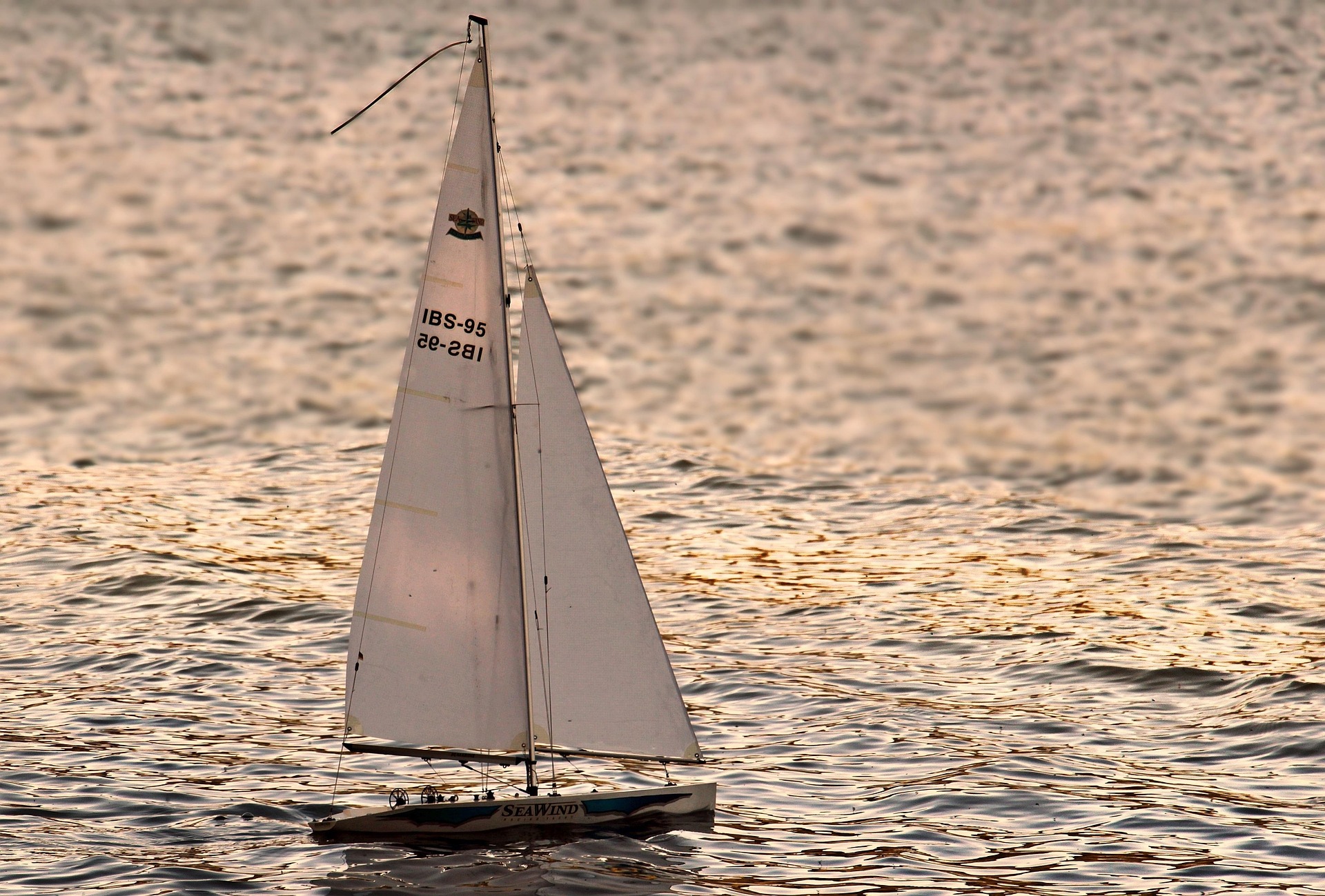 Rows of sailing yachts moored close together in a marina, where cabin storage space is always limited
